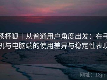 茶杯狐｜从普通用户角度出发：在手机与电脑端的使用差异与稳定性表现