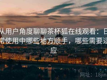 从用户角度聊聊茶杯狐在线观看：日常使用中哪些地方顺手，哪些需要适应