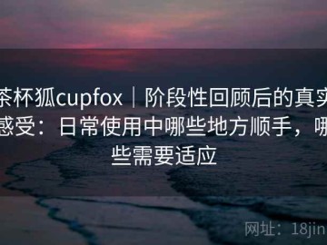 茶杯狐cupfox｜阶段性回顾后的真实感受：日常使用中哪些地方顺手，哪些需要适应