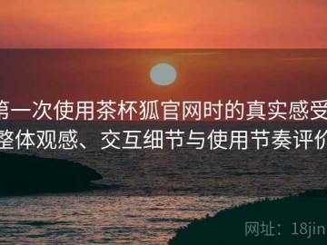 第一次使用茶杯狐官网时的真实感受：整体观感、交互细节与使用节奏评价