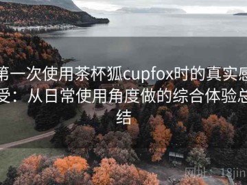 第一次使用茶杯狐cupfox时的真实感受：从日常使用角度做的综合体验总结