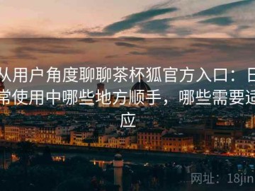 从用户角度聊聊茶杯狐官方入口：日常使用中哪些地方顺手，哪些需要适应