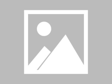 蜂鸟影院完整体验记录：新用户上手难度与常见问题整理，蜂鸟影视网页官网