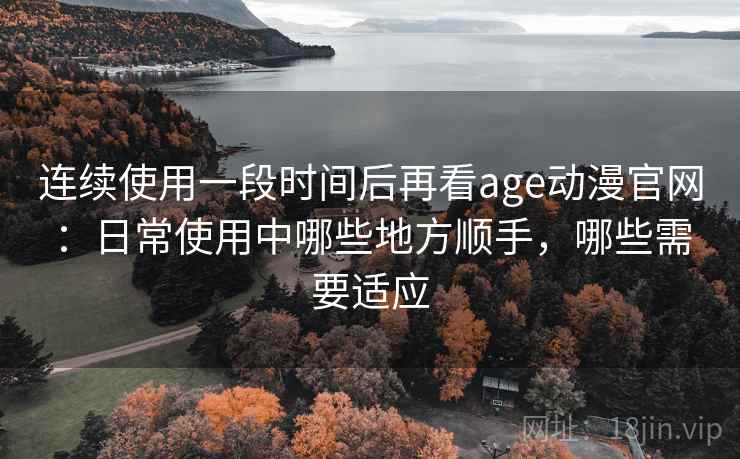 连续使用一段时间后再看age动漫官网：日常使用中哪些地方顺手，哪些需要适应