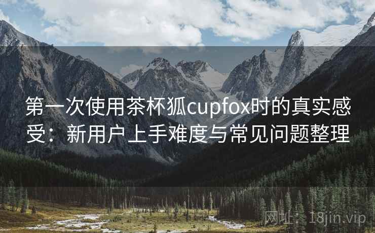 第一次使用茶杯狐cupfox时的真实感受：新用户上手难度与常见问题整理