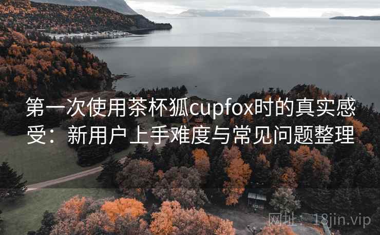 第一次使用茶杯狐cupfox时的真实感受：新用户上手难度与常见问题整理
