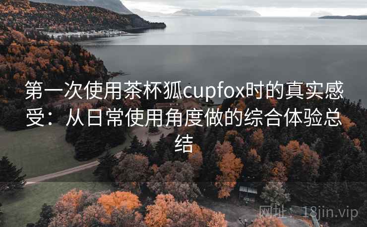 第一次使用茶杯狐cupfox时的真实感受：从日常使用角度做的综合体验总结