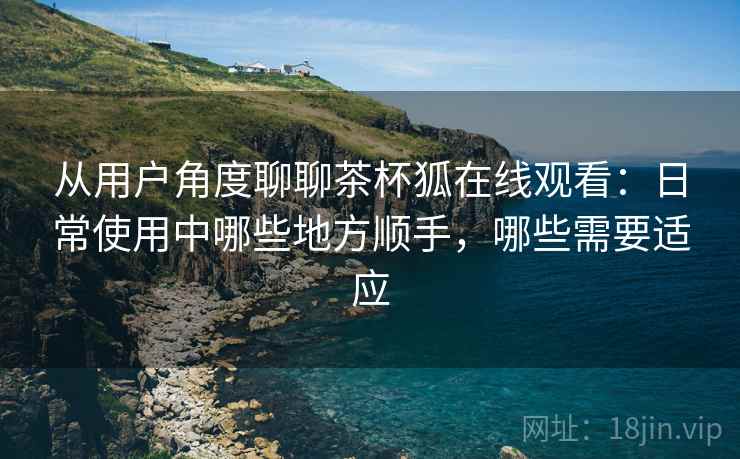 从用户角度聊聊茶杯狐在线观看：日常使用中哪些地方顺手，哪些需要适应