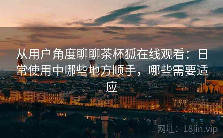 从用户角度聊聊茶杯狐在线观看：日常使用中哪些地方顺手，哪些需要适应