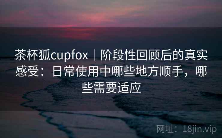 茶杯狐cupfox｜阶段性回顾后的真实感受：日常使用中哪些地方顺手，哪些需要适应