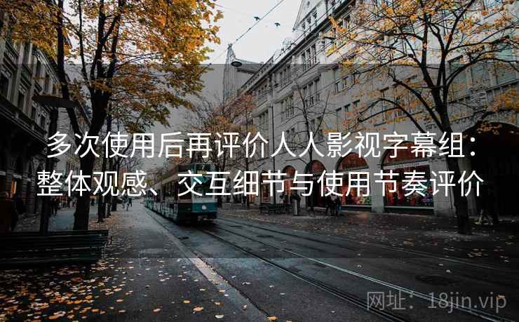 多次使用后再评价人人影视字幕组:整体观感、交互细节与使用节奏评价 多次使用后再评价人人影视字幕组:整体观感、交互细节与使用节奏评价
